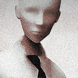 Plastomorphosis