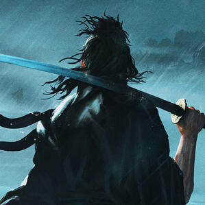 Rise of the Ronin